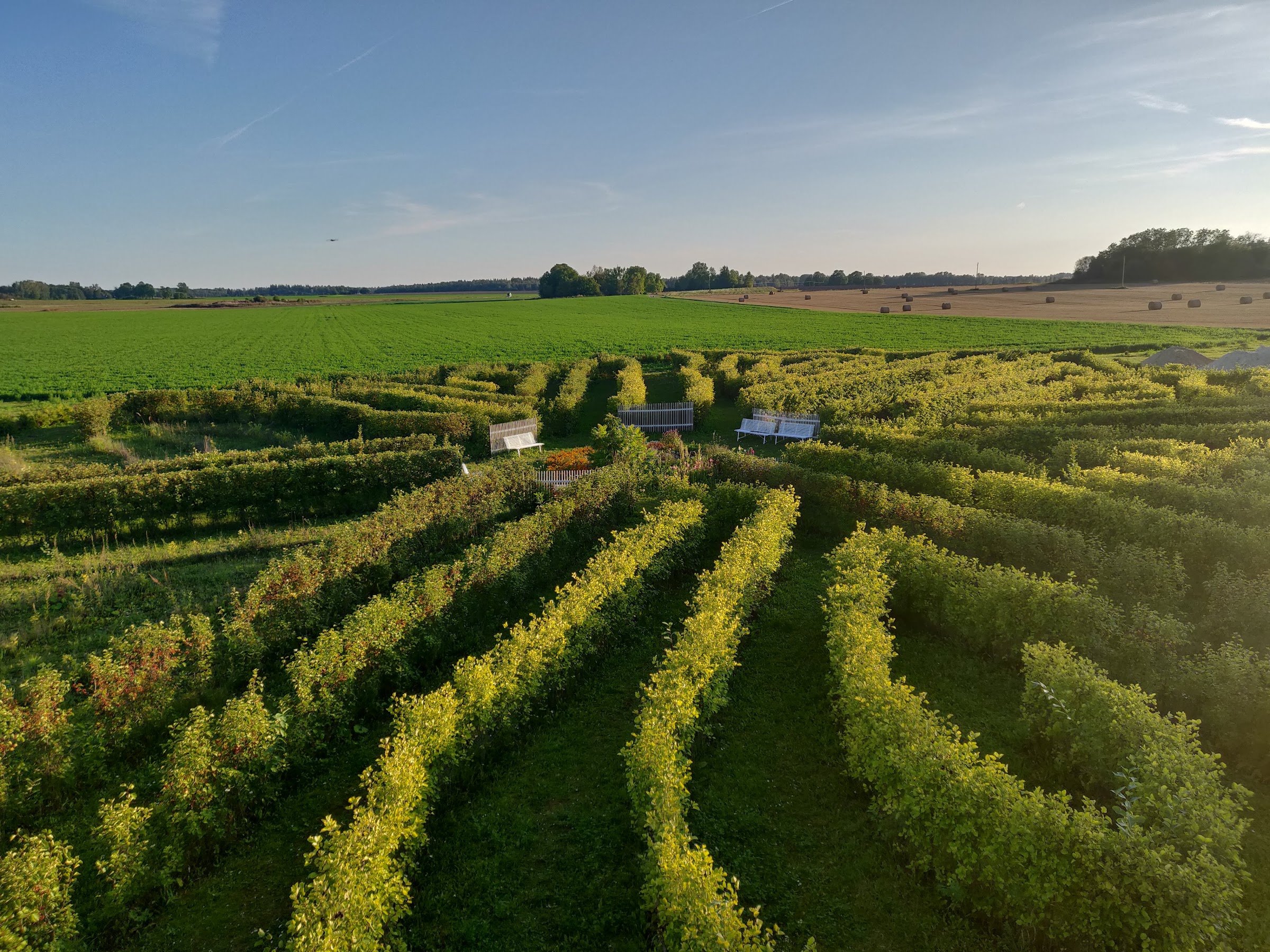 Tore talu - Sarapiku
